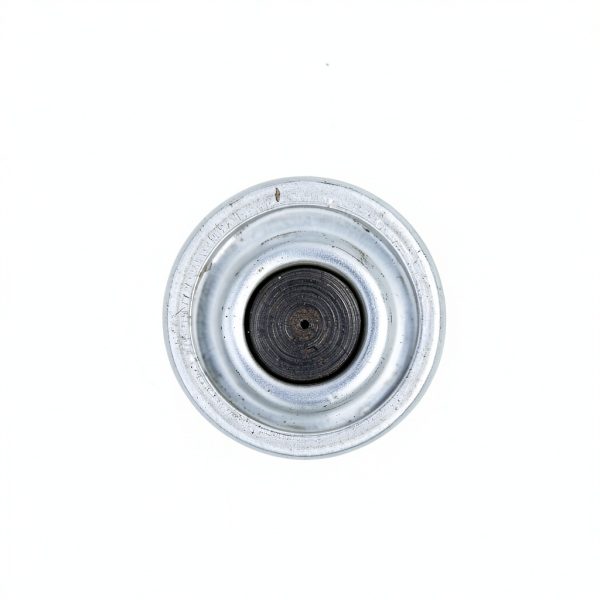 Karponal Steel Oil Pressure Relief Valve Gasket NPT for Dodge Cummins-5